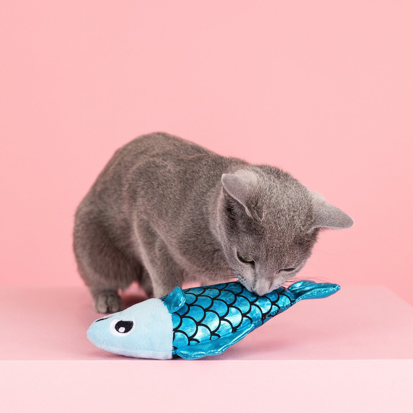 A LITTLE FISHY CAT TOY