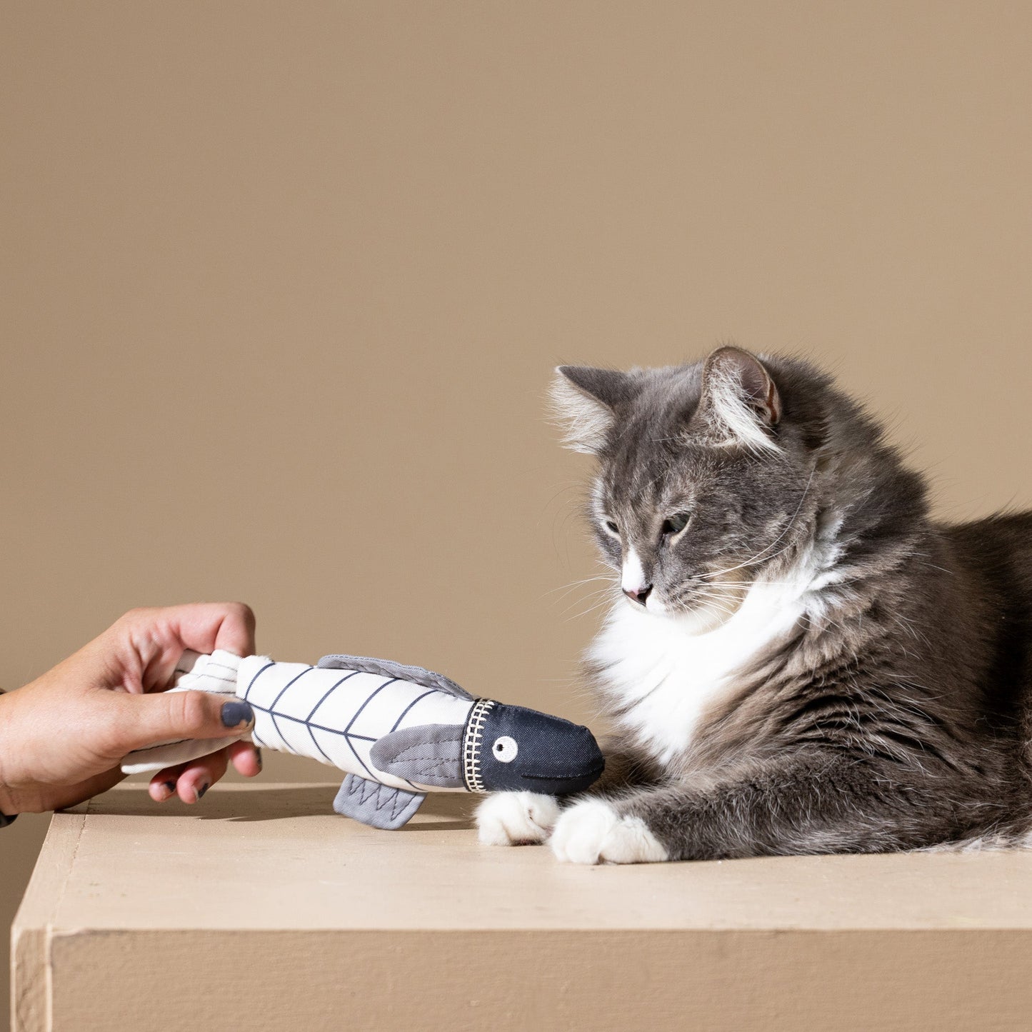 SOMETHING'S FISHY CAT TOY