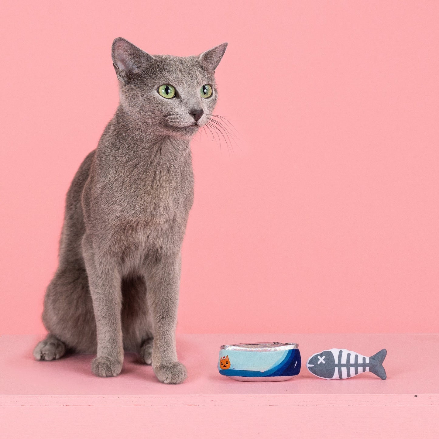 RIGHT MEOW CAT TOY