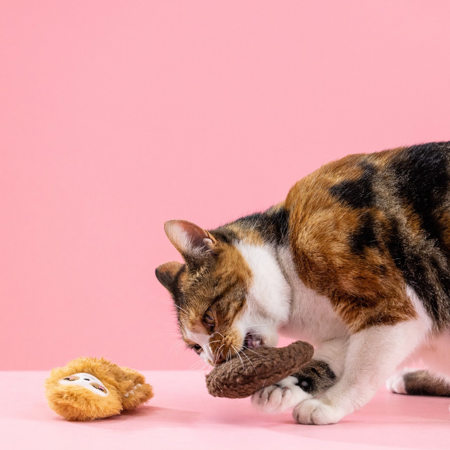 SLOW CAT TOY
