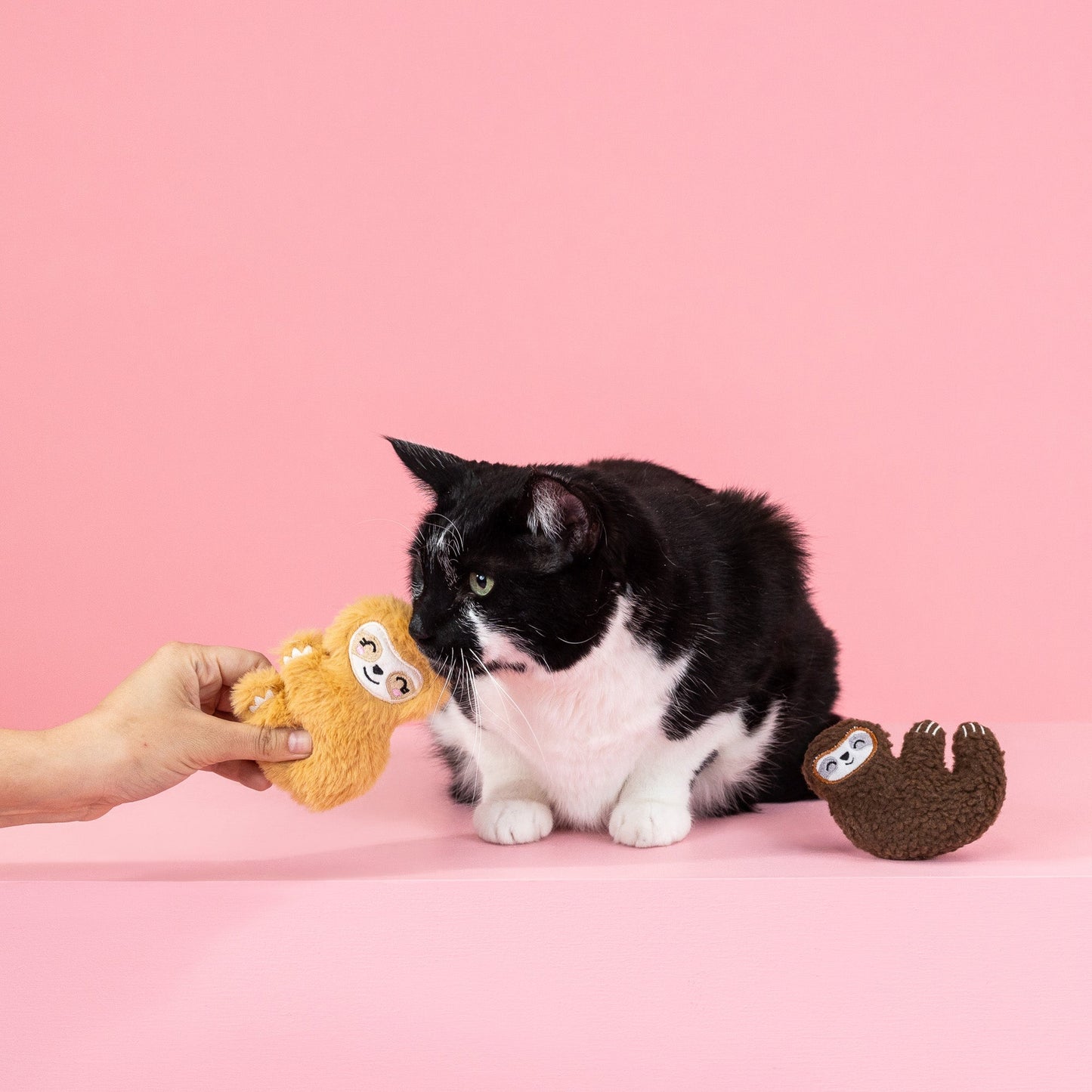 SLOW CAT TOY