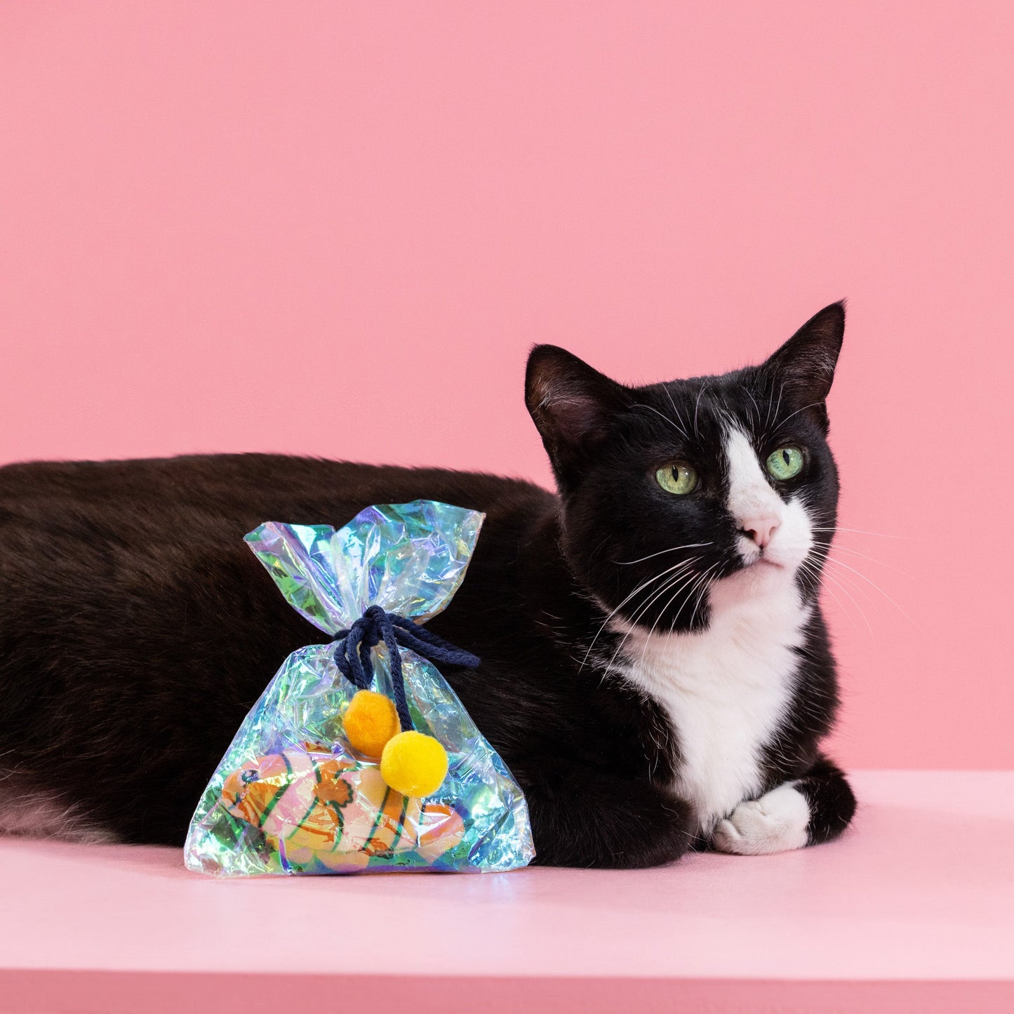 AROUND CAT TOY