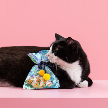 AROUND CAT TOY