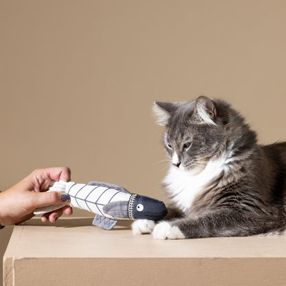 SOMETHING'S FISHY CAT TOY