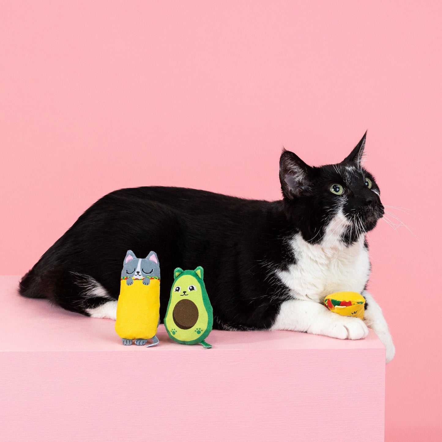 KITTY CAT TOY