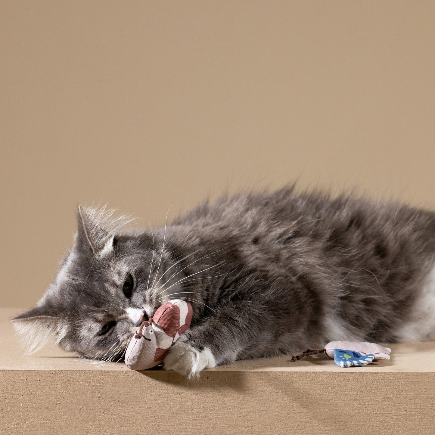 CATCH ME IF YOU CAN CANVAS MINI CAT TOY